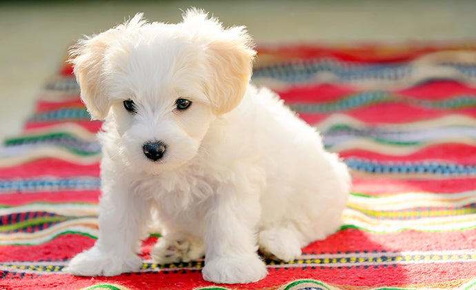 下部尿路の健康維持のヒケツ