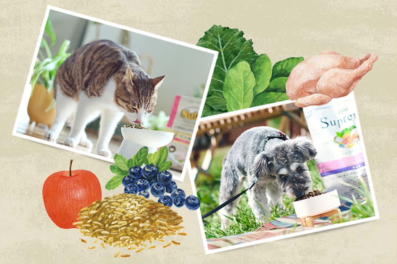 ひと口ずつ*、健康つづく。自然素材にこだわったニュートロ™のペットフードとは