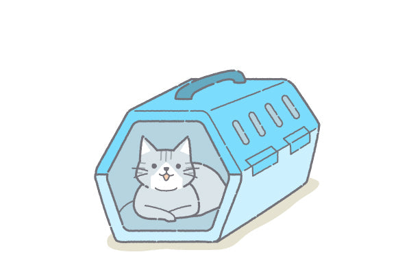 いざという時のために、「愛猫の防災」日頃から行うべきこと