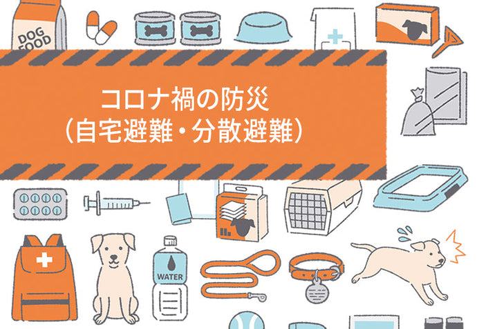 コロナ禍の防災（自宅避難・分散避難）