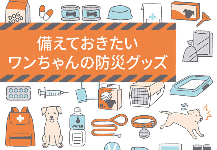 備えておきたい愛犬の防災グッズ