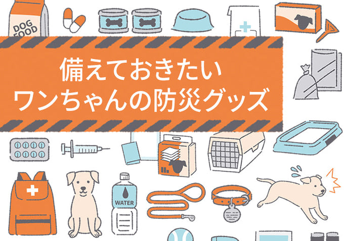 備えておきたい愛犬の防災グッズ