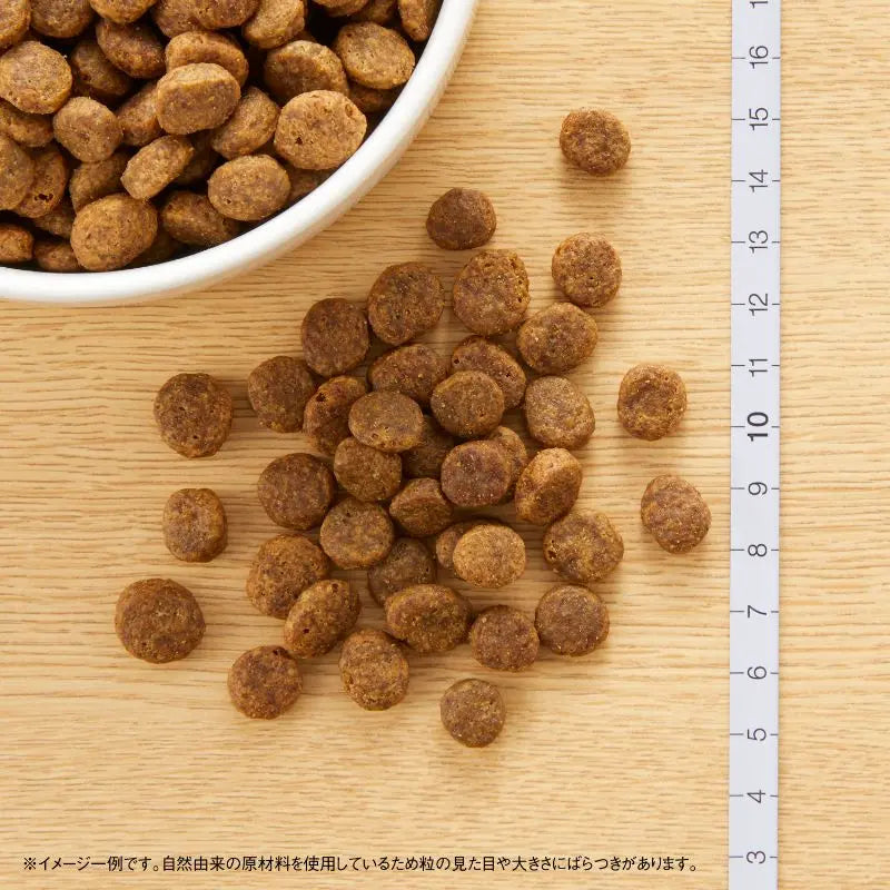Nutro ナチュラルチョイス 全犬種用 成犬用 フィッシュ&ポテト 6kg ニュートロ | 株式会社トライム～ペット用品総合卸売商社【TryM-pet.NET】