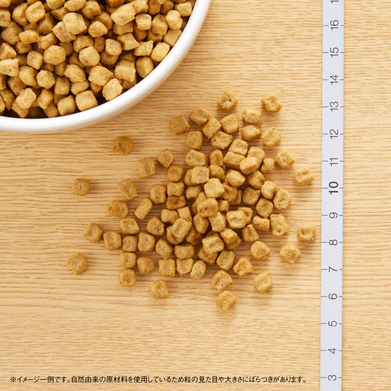 【公式通販限定】ニュートロ ナチュラル チョイス 避妊・去勢犬用 超小型犬〜小型犬用 成犬用 チキン＆玄米 5.4kg（600g×9袋）