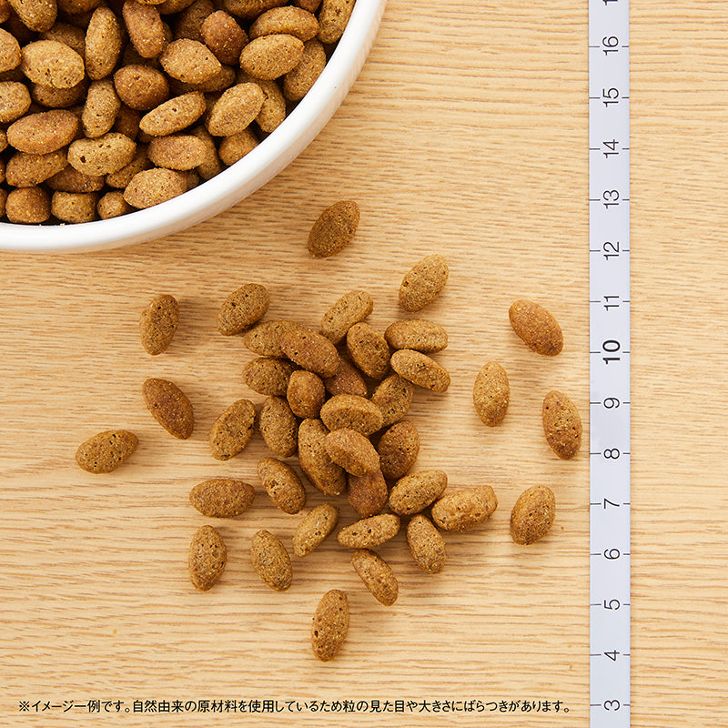 ニュートロ シュプレモ 超小型犬〜小型犬用 エイジングケア 1kg/3kg/6kg