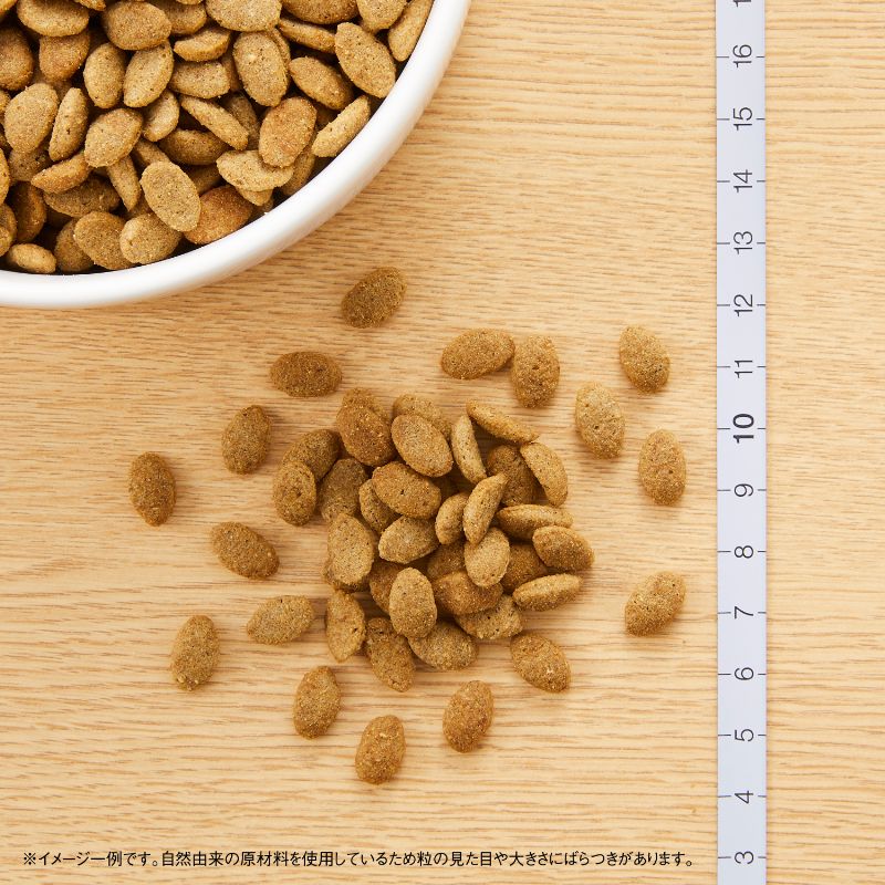 ドッグフード シュプレモ