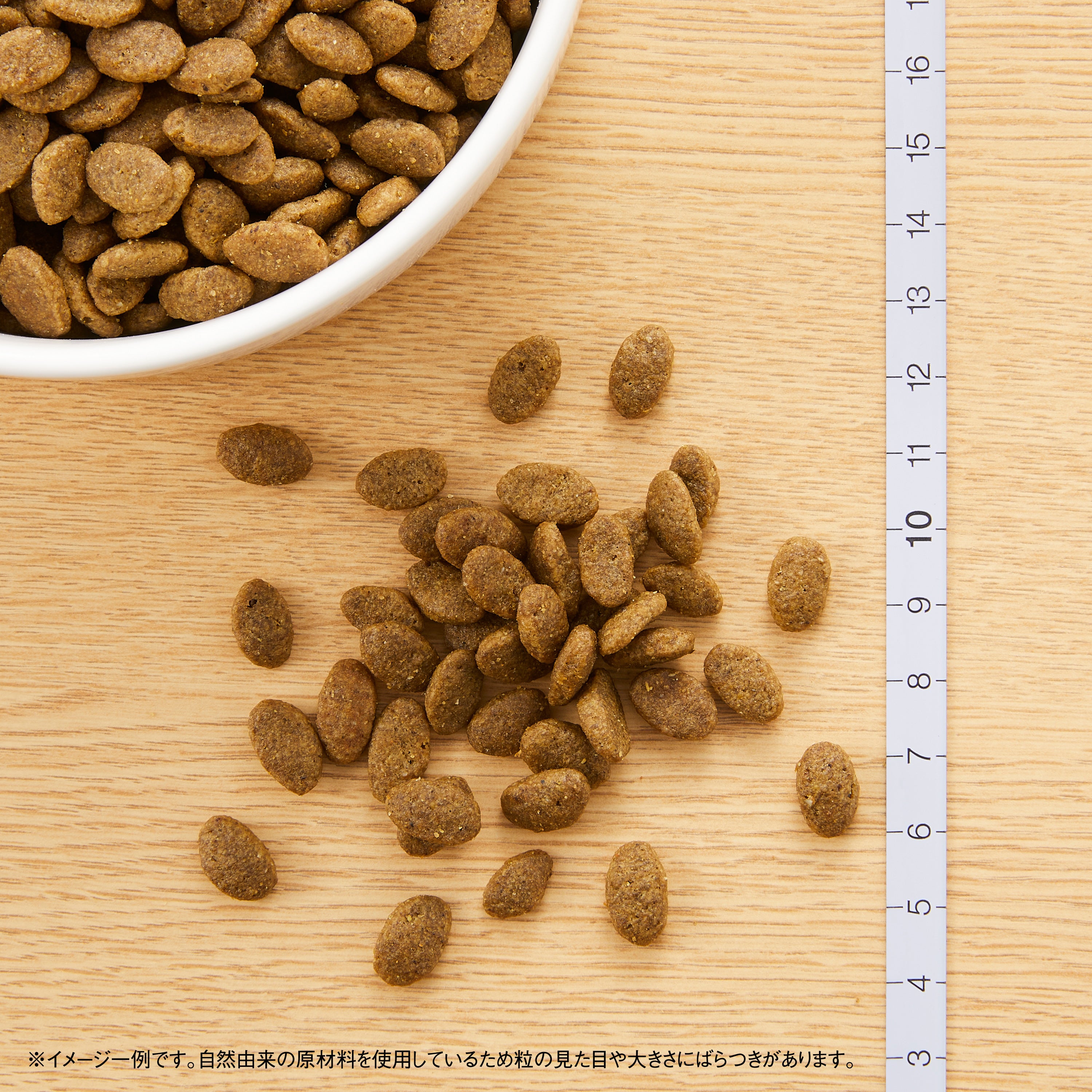 ニュートロ ナチュラル チョイス キャット 穀物フリー アダルト ダック 500g/2kg