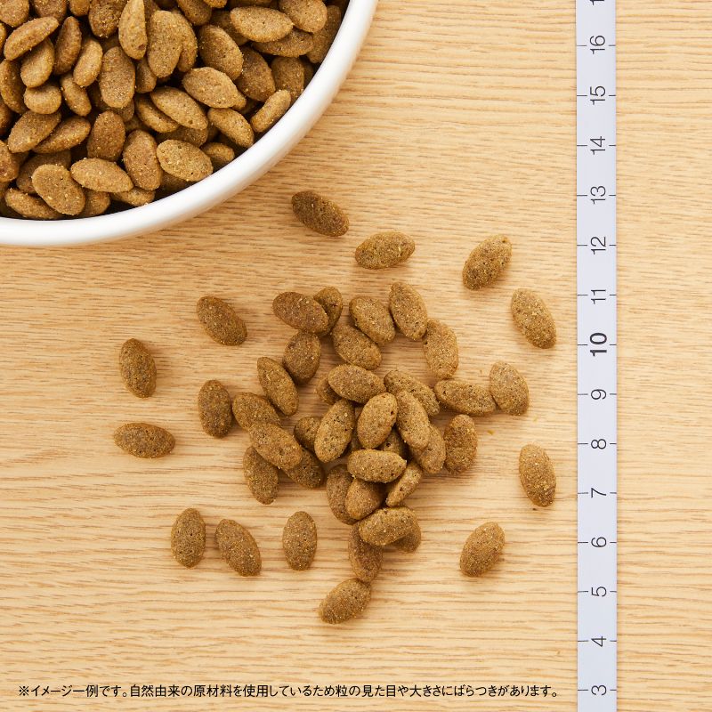 ニュートロ ナチュラル チョイス キャット 毛玉トータルケア アダルト チキン 500g/2kg