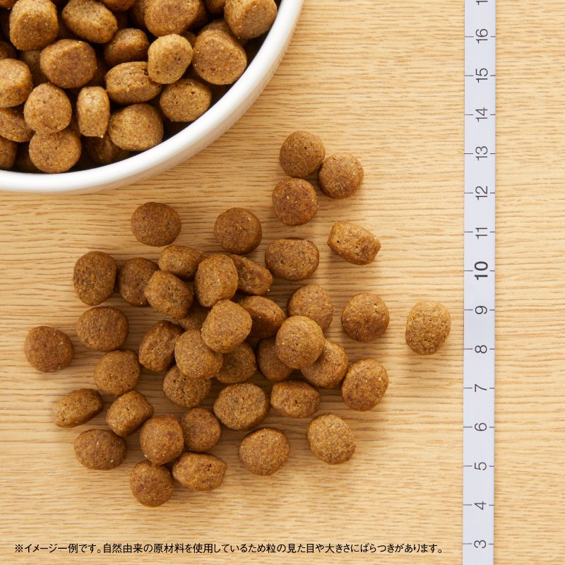 ニュートロ ナチュラル チョイス 中型犬〜大型犬用 成犬用 ラム＆玄米 2kg/4kg/7.5kg/13.5kg