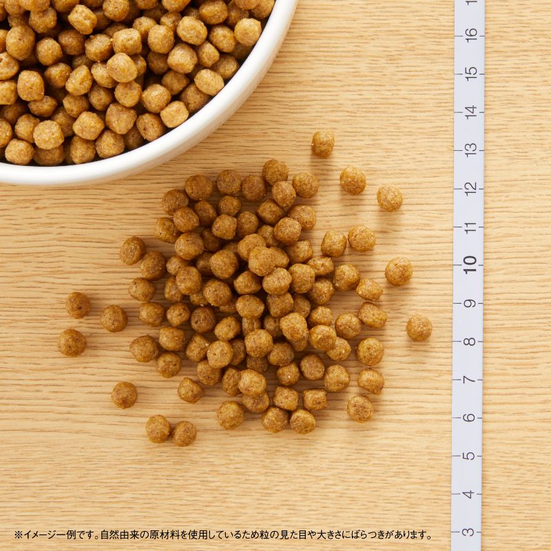 ニュートロ ナチュラル チョイス 超小型犬〜小型犬用 成犬用 鹿肉＆玄米 800g/2kg