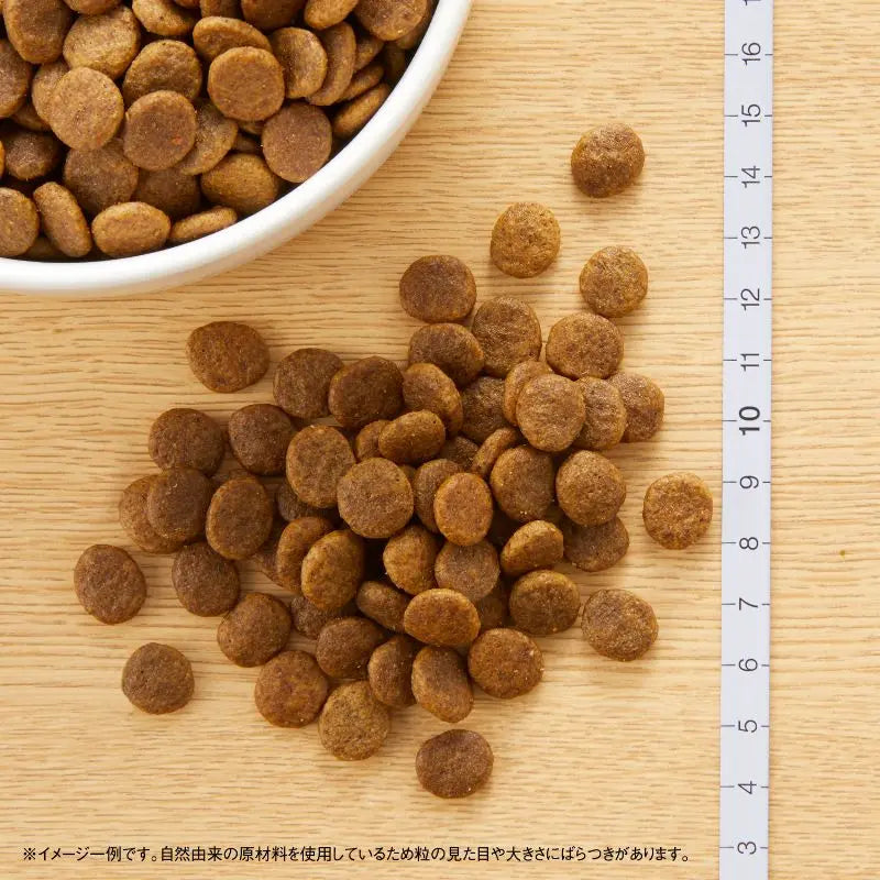 このこのごはん、ニュートロワイルドレシピ、ペットカインドトライプドライ3点セット ニュートロ ワイルドレシピ 超小型犬〜小型犬用 成犬用 ビーフ 【送料