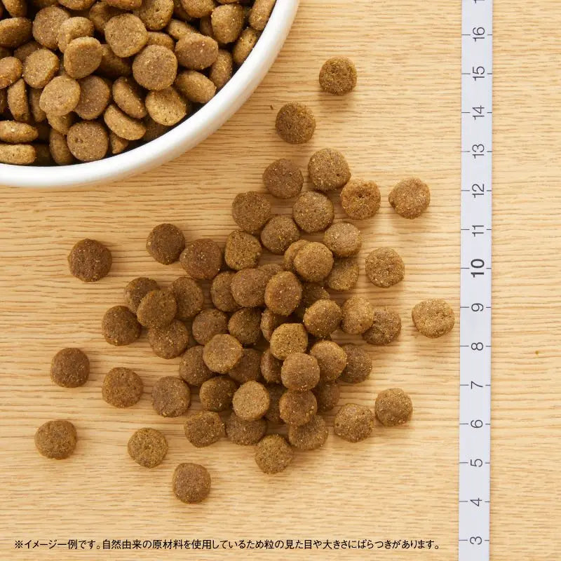 ニュートロ キャット ワイルド レシピ アダルト 白身魚 成猫用
