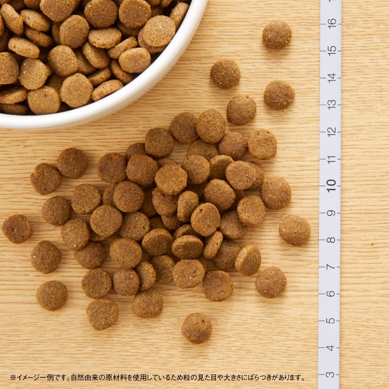 ニュートロ キャット ワイルド レシピ アダルト チキン 成猫用