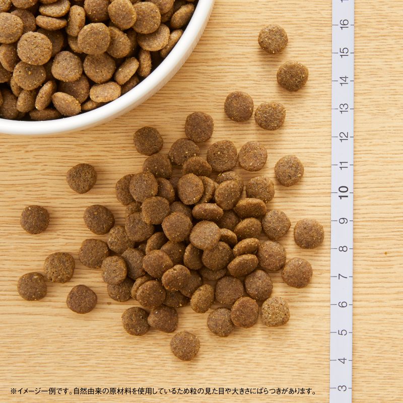 ニュートロ キャット ワイルド レシピ アダルト サーモン 成猫用 400g/1kg/2kg