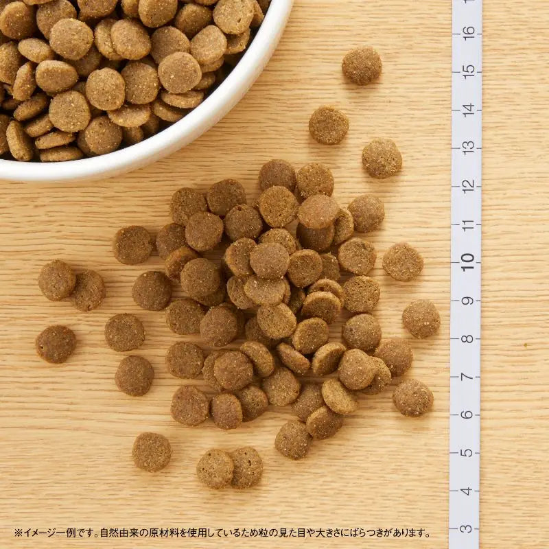 ニュートロ キャット ワイルド レシピ エイジングケア チキン シニア猫