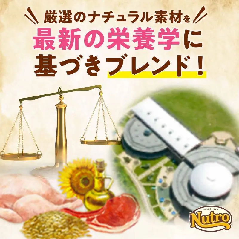 大容量小分けパック】ニュートロ ナチュラル チョイス 減量用 超小型犬