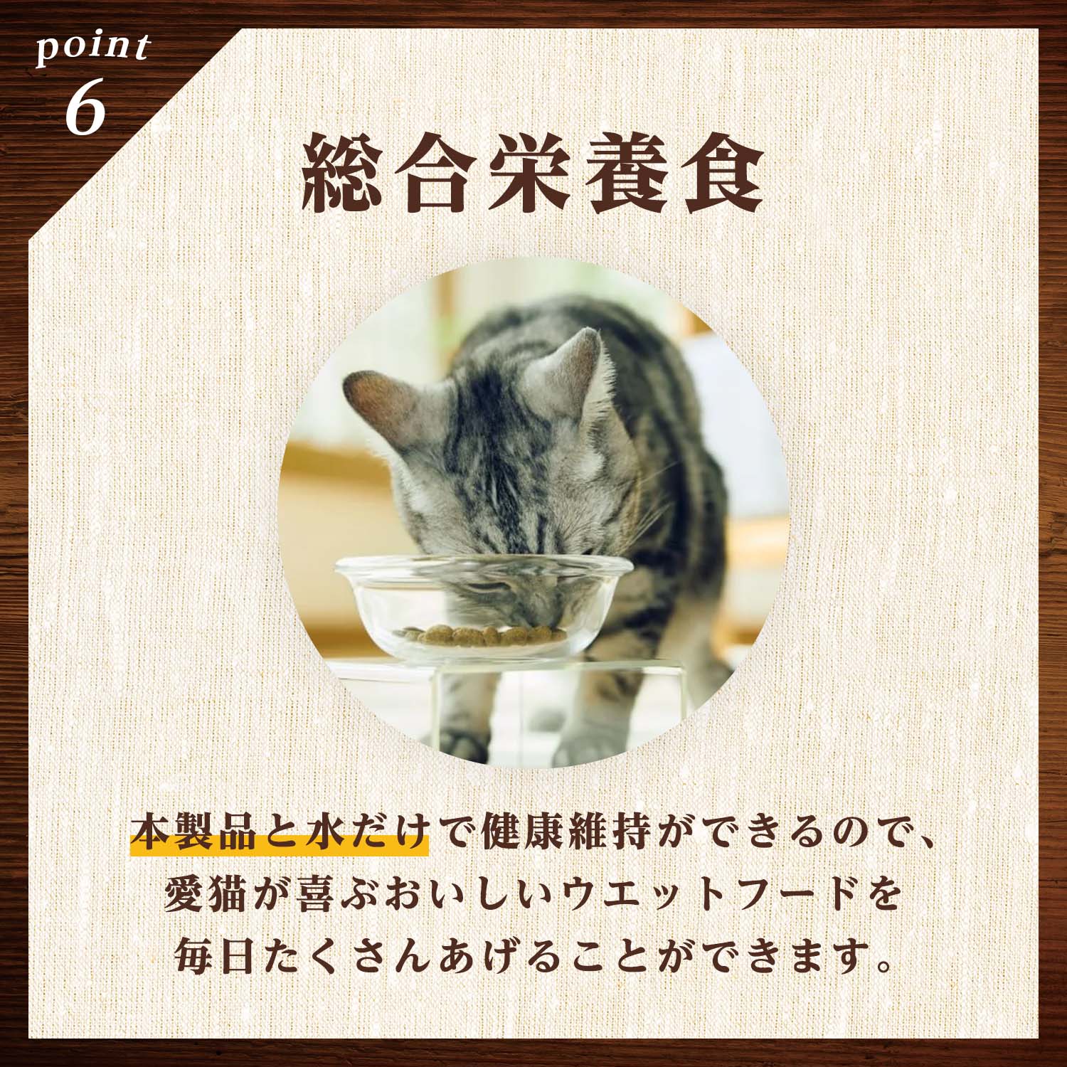 ニュートロ キャット デイリー ディッシュ シニア猫用 まぐろ クリーミーなペーストタイプ パウチ ニュートロ™公式通販