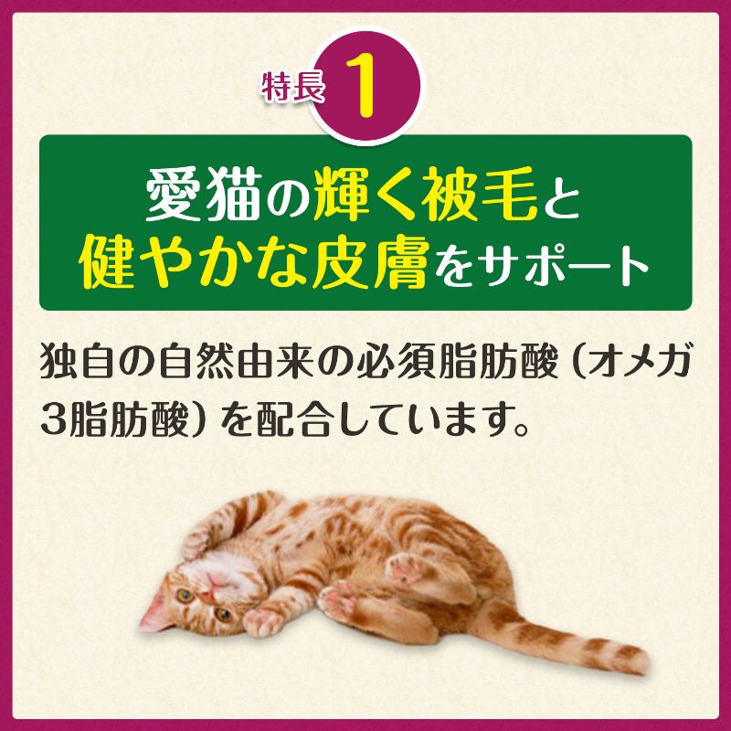 猫用グリニーズ 皮膚被毛ケア サーモン味 30g/90g