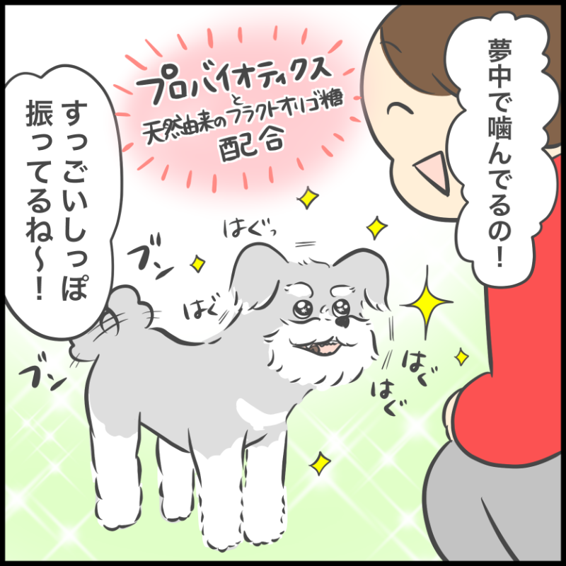 グリニーズ デイリーサプリメント おなかの健康サポート 犬用サプリメント 63g/126g