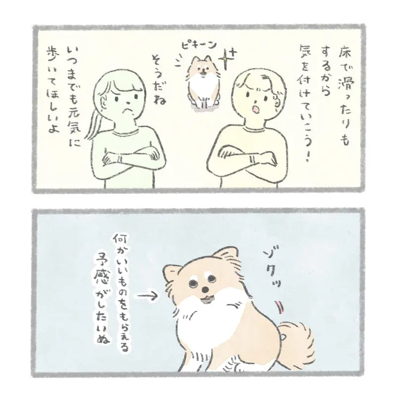 グリニーズ デイリーサプリメント 関節の健康サポート 犬用