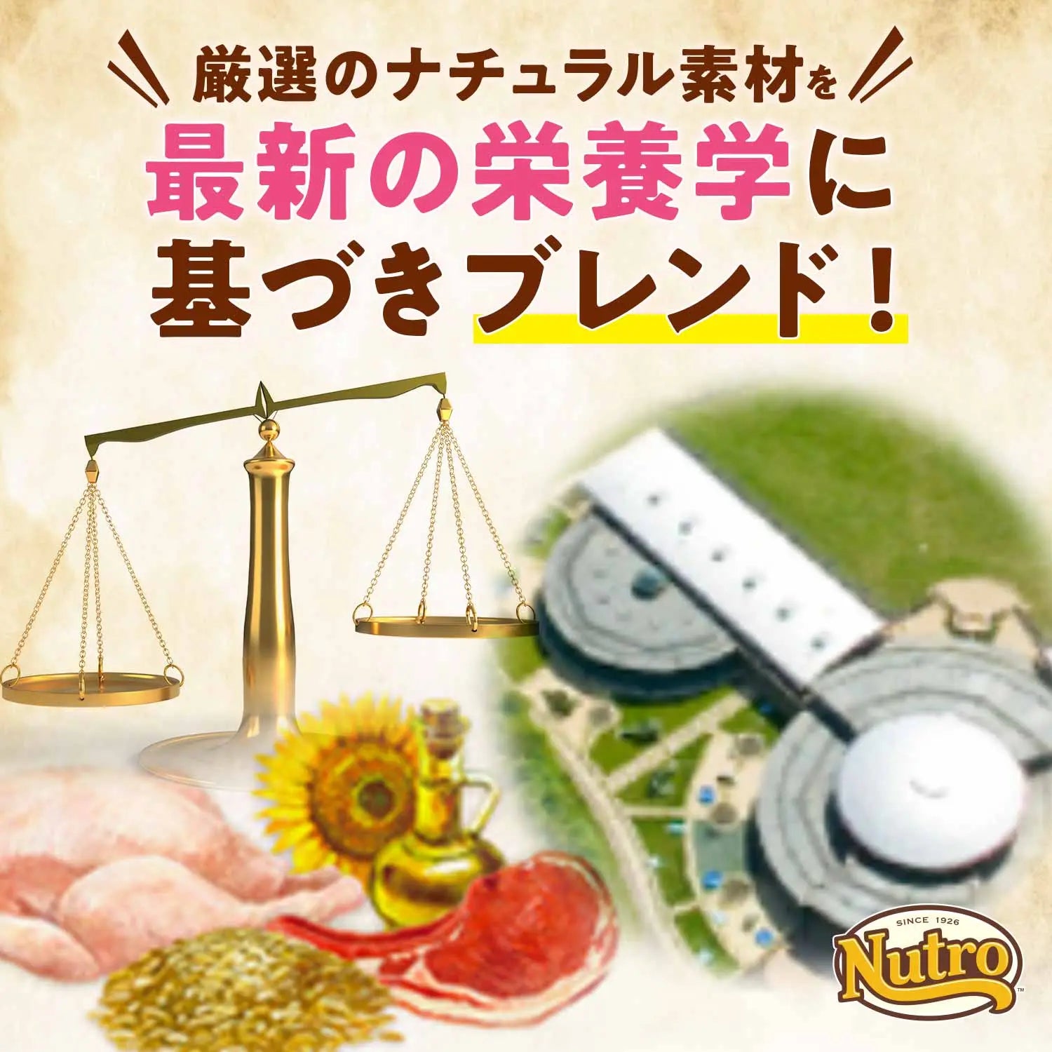 ニュートロ ナチュラル チョイス キャット 穀物フリー アダルト チキン