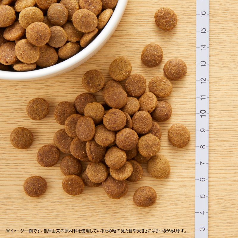 ニュートロ ナチュラル チョイス 子犬用 妊娠中・授乳中の母犬にも 大型犬用 チキン&玄米 3kg/15kg