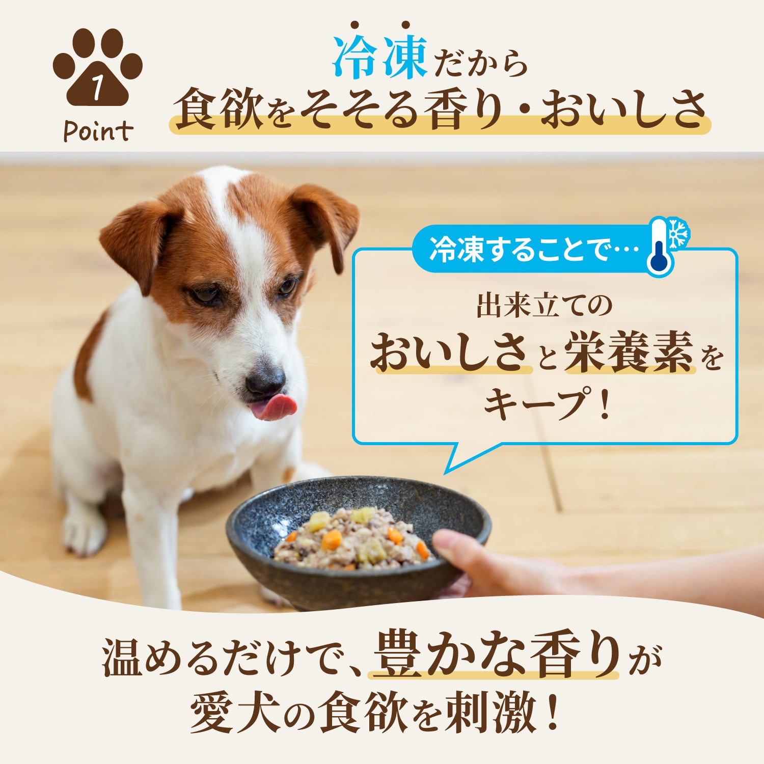 【シニア犬用】ニュートロ フローズン 日本の恵み 海 真鯛  12袋セット