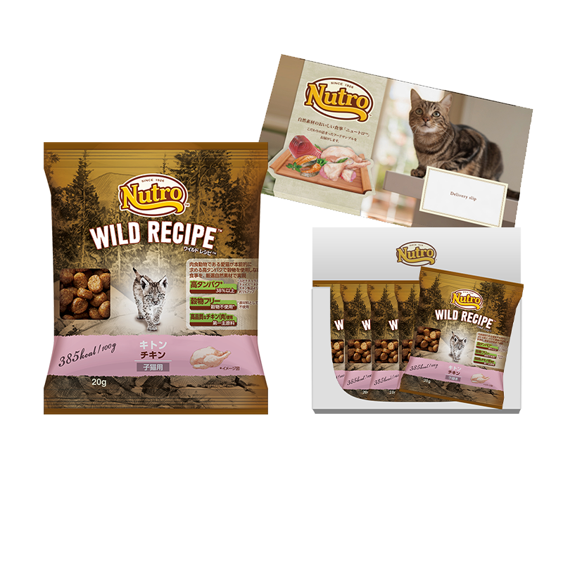 【お試しサンプル】ワイルド レシピ キトン チキン 子猫用 100g（20g×5袋）