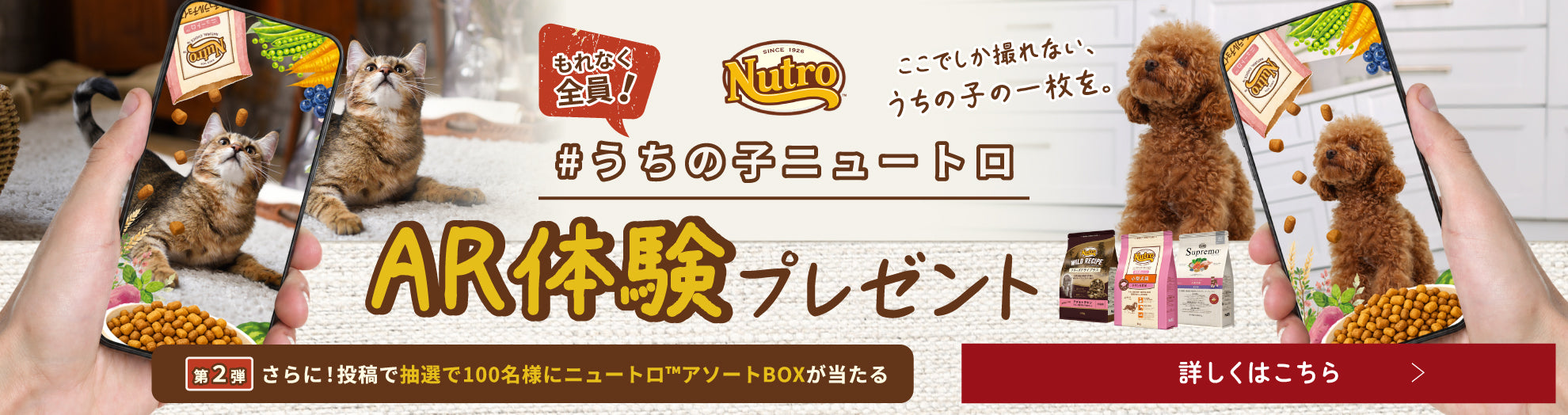 ドッグフード ドライフード
