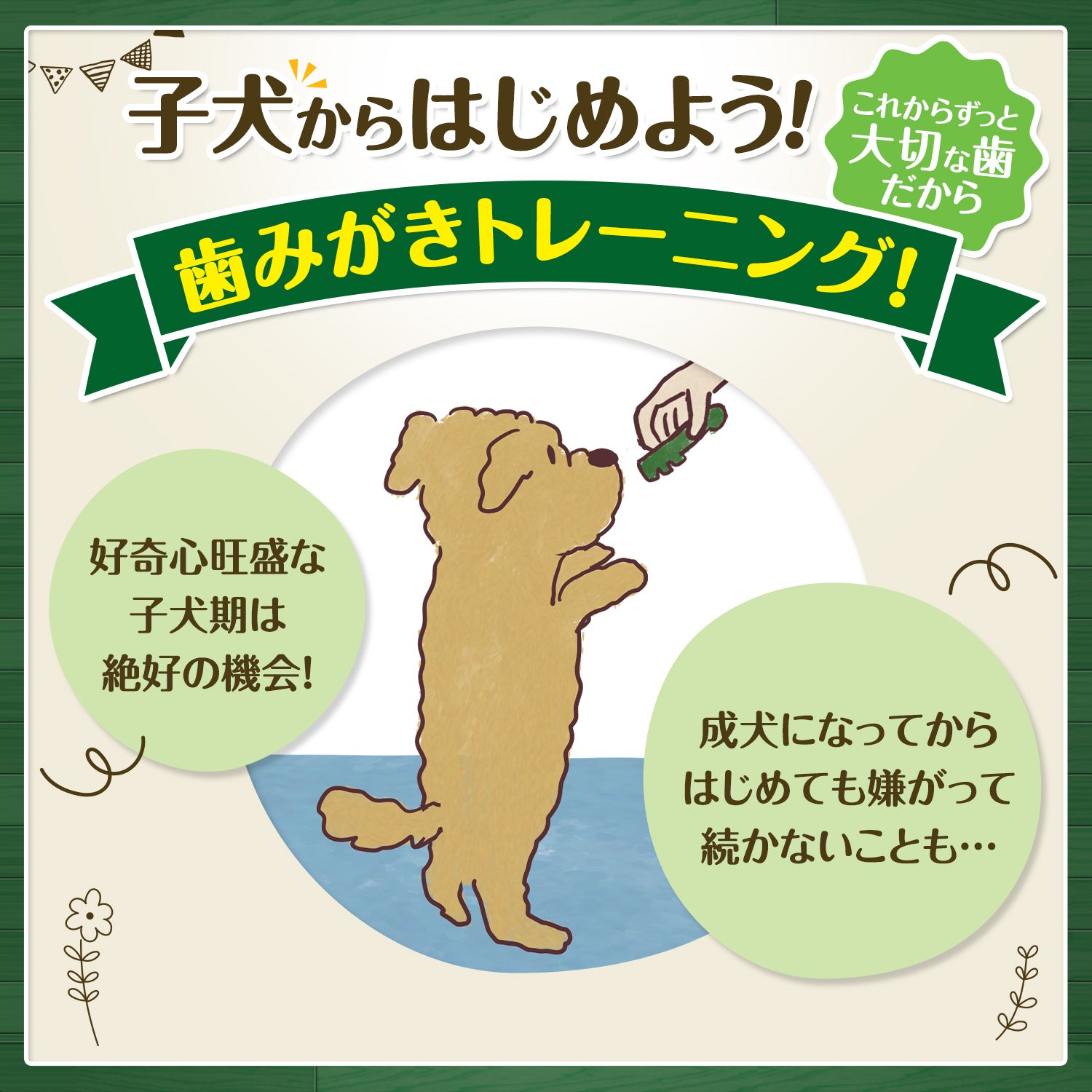 グリニーズ プラス 子犬用 超小型犬〜小型犬用 歯みがきトレーニングガム