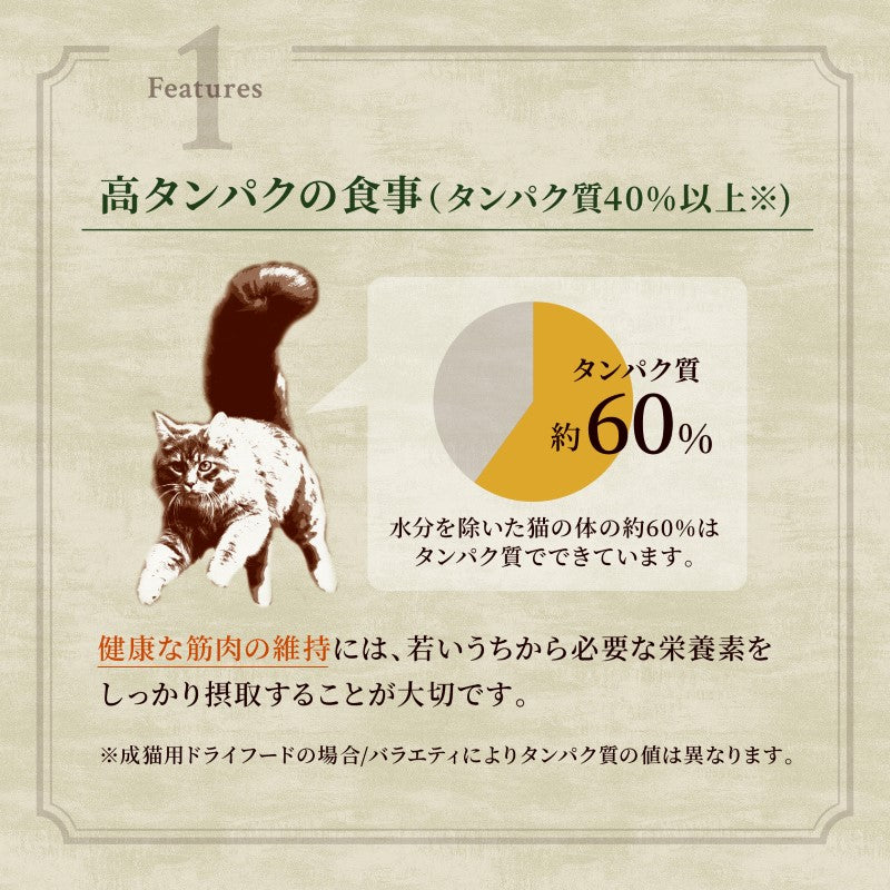 ニュートロ キャット ワイルド レシピ キトン チキン 子猫用