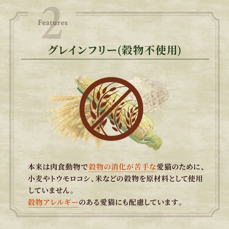 ニュートロ キャット ワイルド レシピ キトン チキン 子猫用