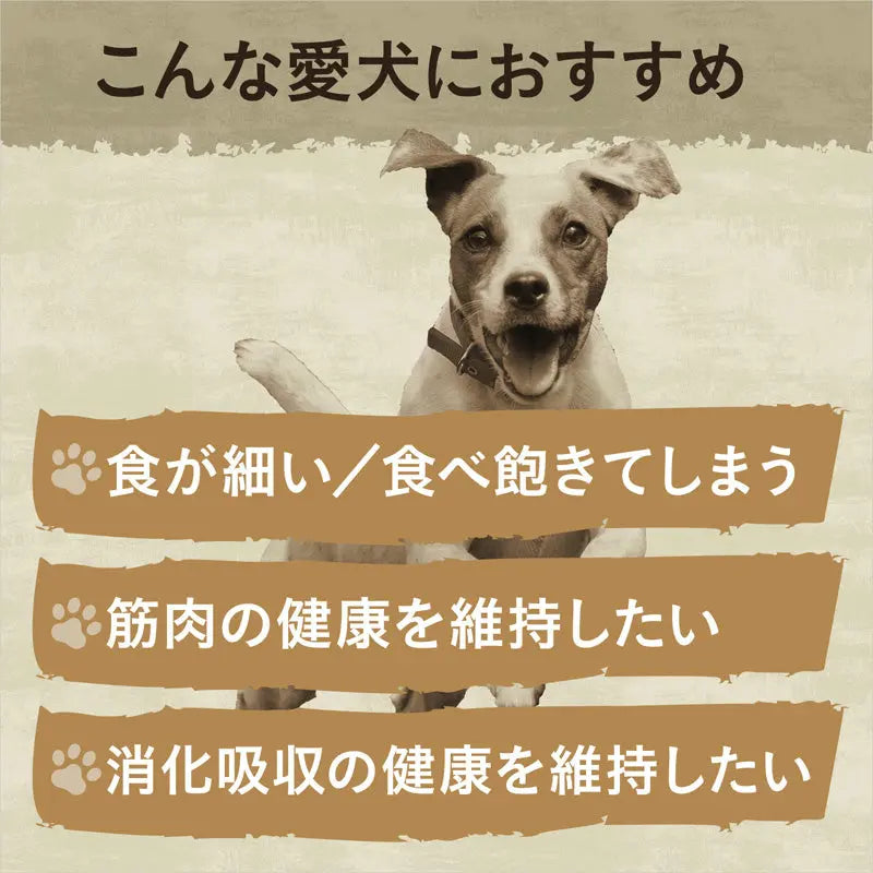 ニュートロ ワイルド レシピ 超小型犬～小型犬用 成犬用 サーモン