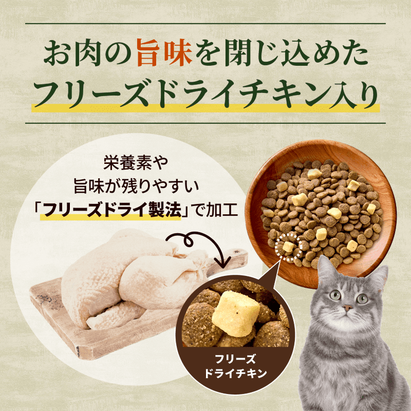 ニュートロ キャット ワイルド レシピ フリーズドライプラス アダルト サーモン 成猫用 400g/1kg