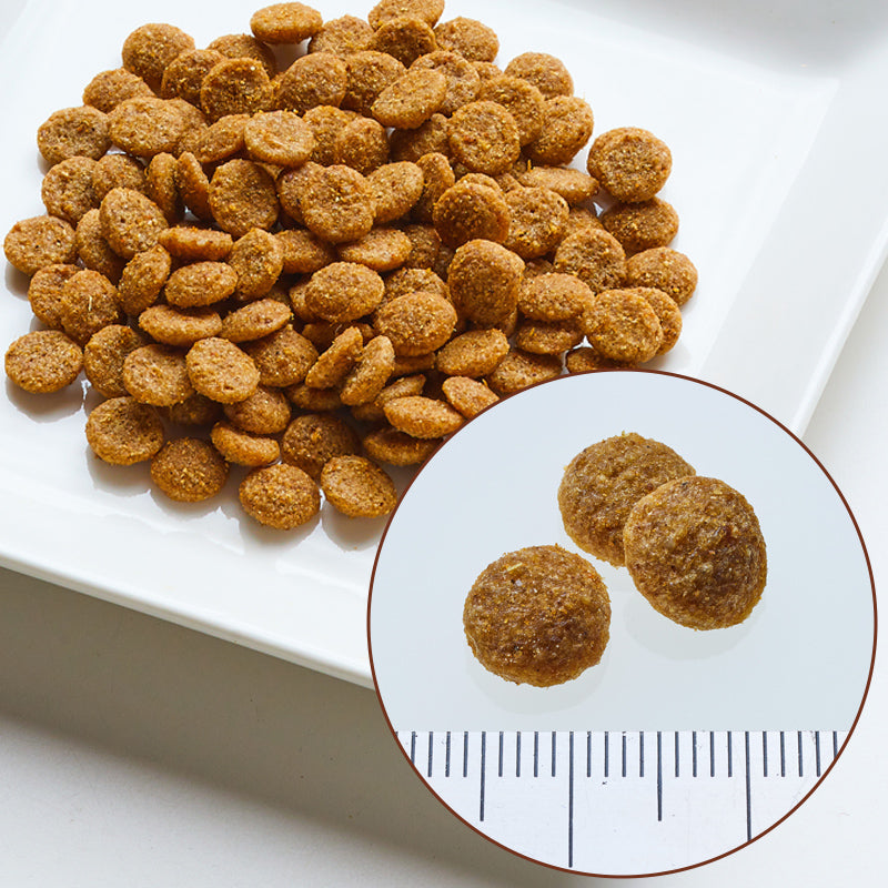 ニュートロ シュプレモ 成猫用 サーモン＆チキン