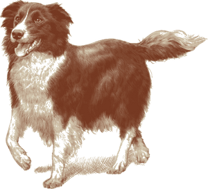 Blog decorative image