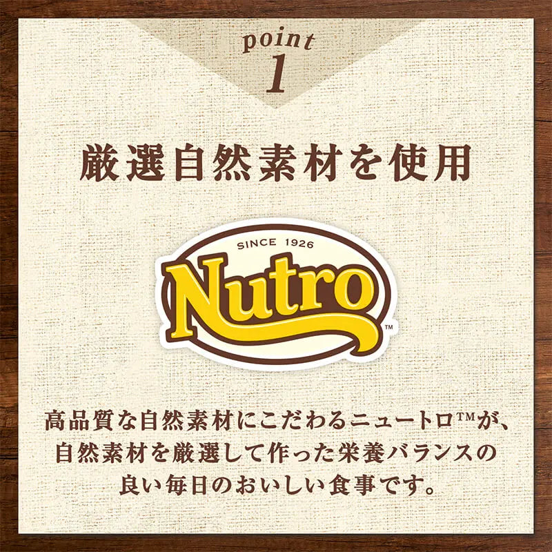 ニュートロ キャット デイリー ディッシュ シニア猫用 チキン
