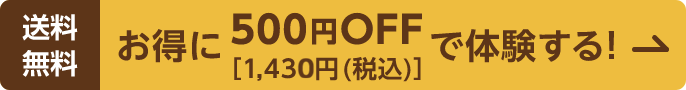 送料無料 お得に500円OFF[787円(税込)]で体験する!