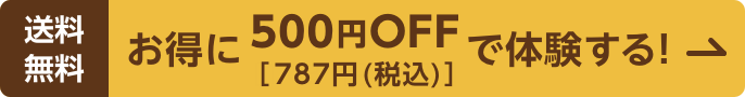 送料無料 お得に500円OFF[787円(税込)]で体験する!