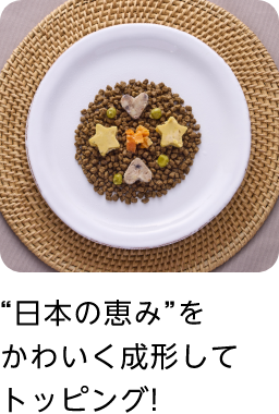 “日本の恵み”をかわいく成形してトッピング!
