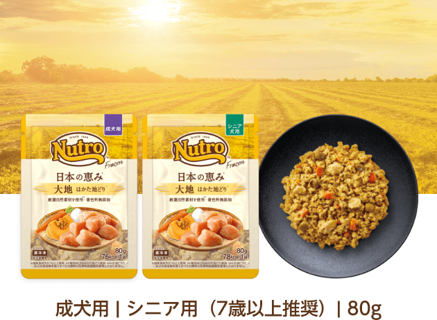 成犬用 | シニア用（7歳以上推奨）| 80g