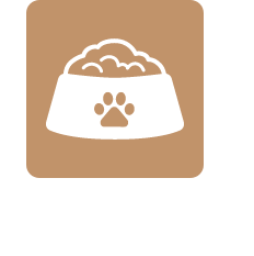 フードの与え方