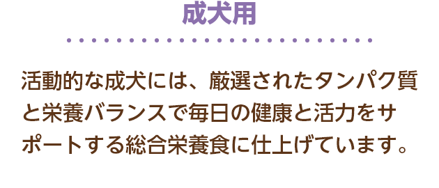 成犬用 活動的な成犬には、厳選されたタンパク質と栄養バランスで毎日の健康と活力をサポートする総合栄養食に仕上げています。