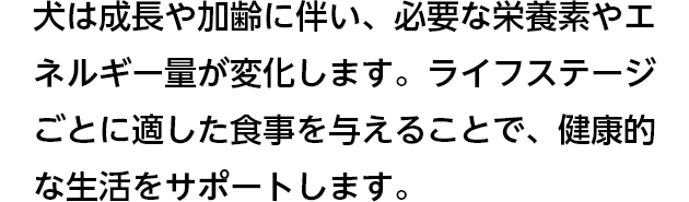 犬は成長や加齢に伴い、必要な栄養素やエネルギー量が変化します。ライフステージごとに適した食事を与えることで、健康的な生活をサポートします。
