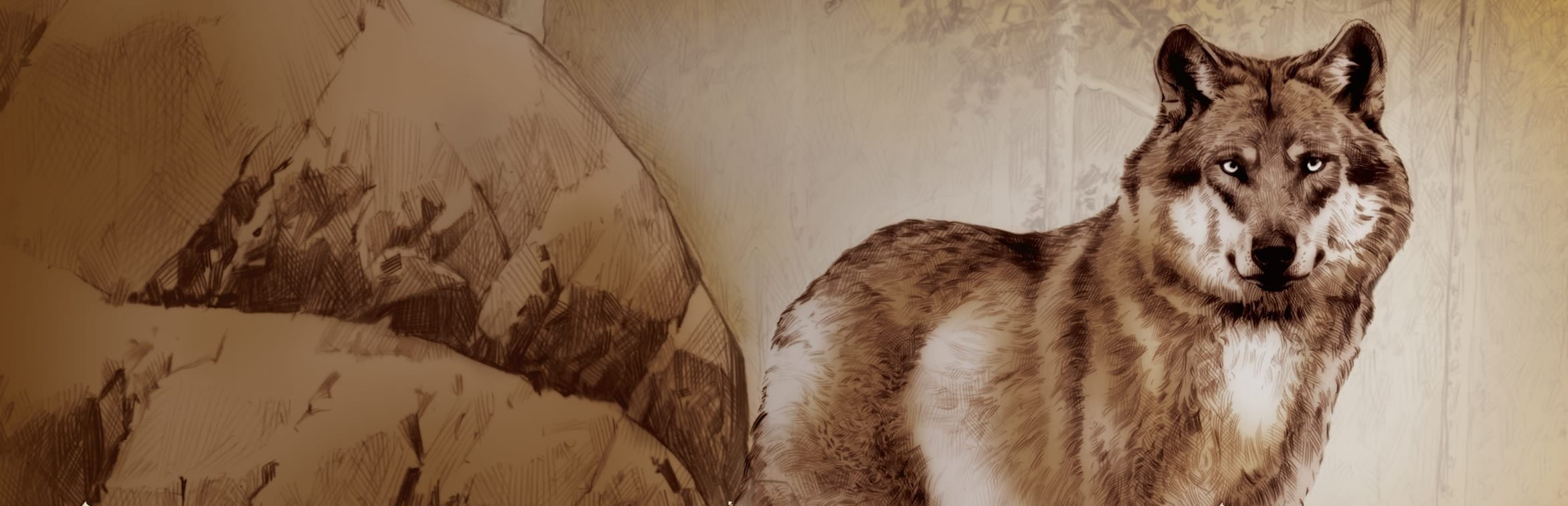 ニュートロ ワイルド レシピ 超小型犬～小型犬用 成犬用 ラム