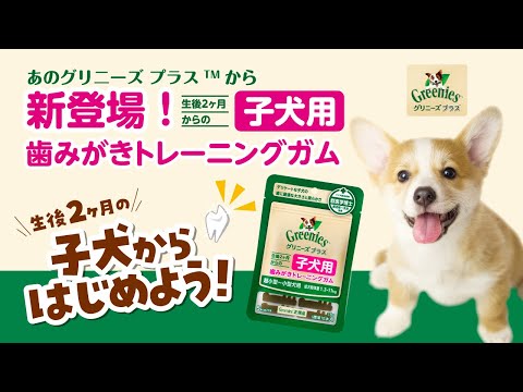 グリニーズ プラス 子犬用 超小型犬〜小型犬用 歯みがきトレーニング